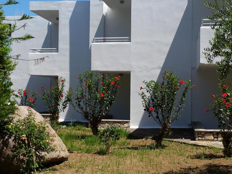 Economy Bungalow image 4