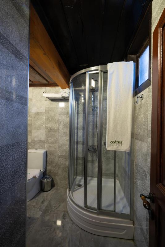 Superior Double Room image 4
