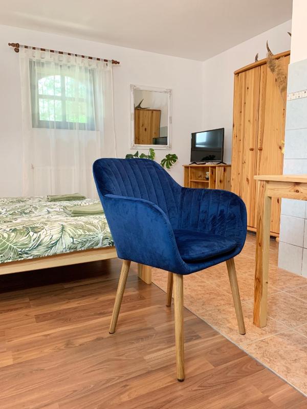 One-Bedroom Apartment image 2