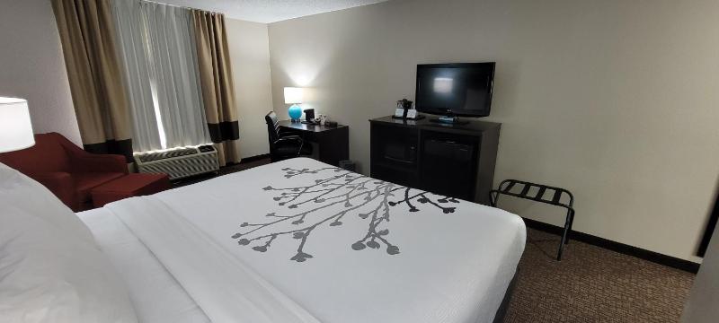 Standard King Room - Non Smoking image 2