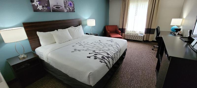 Standard King Room - Non Smoking image 3