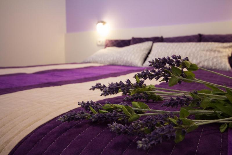 One-Bedroom Apartment image 4