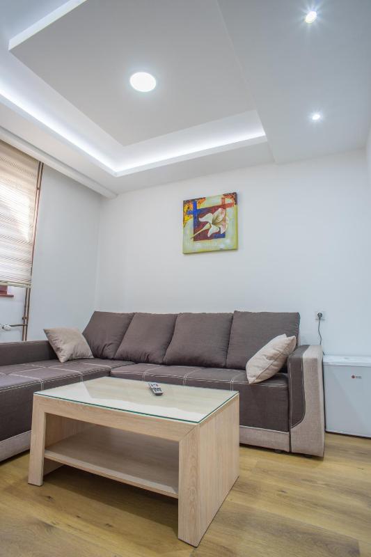 One-Bedroom Apartment image 1