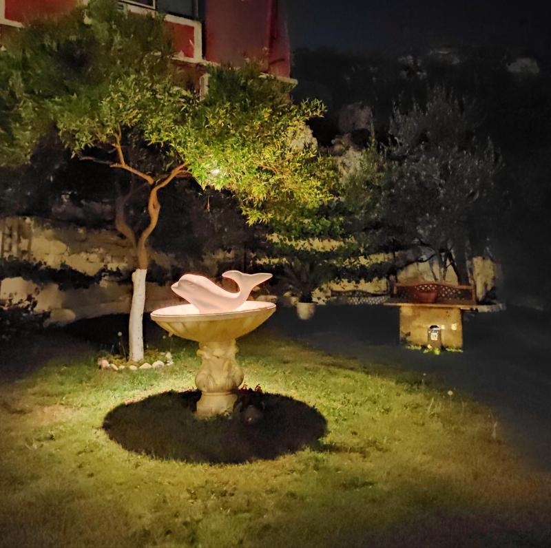 Epavli Veneti - image 13