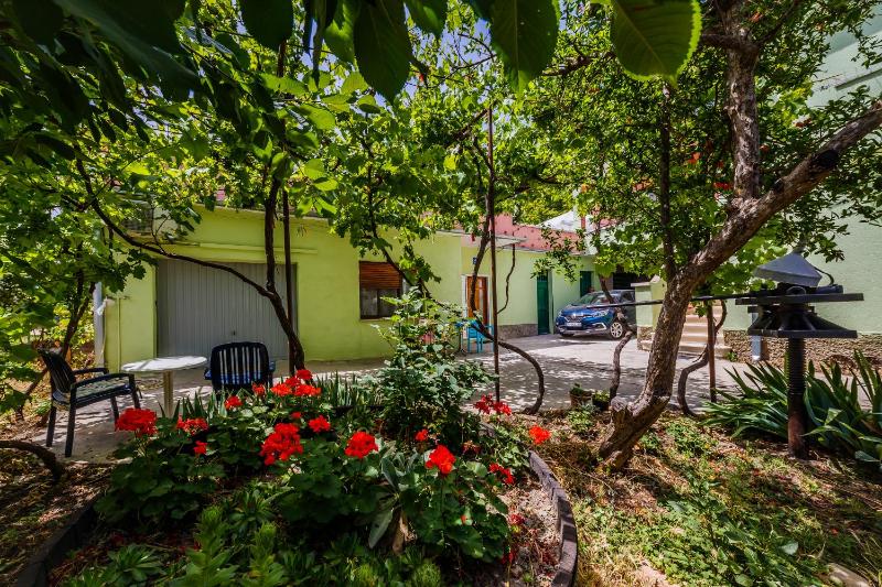 Apartment Jelen Images