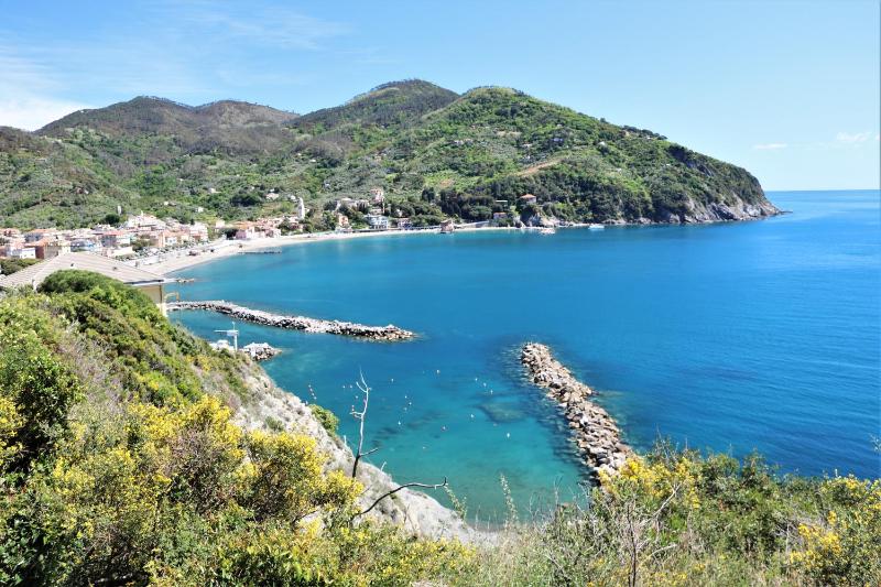 La Pulce Salata - image 15