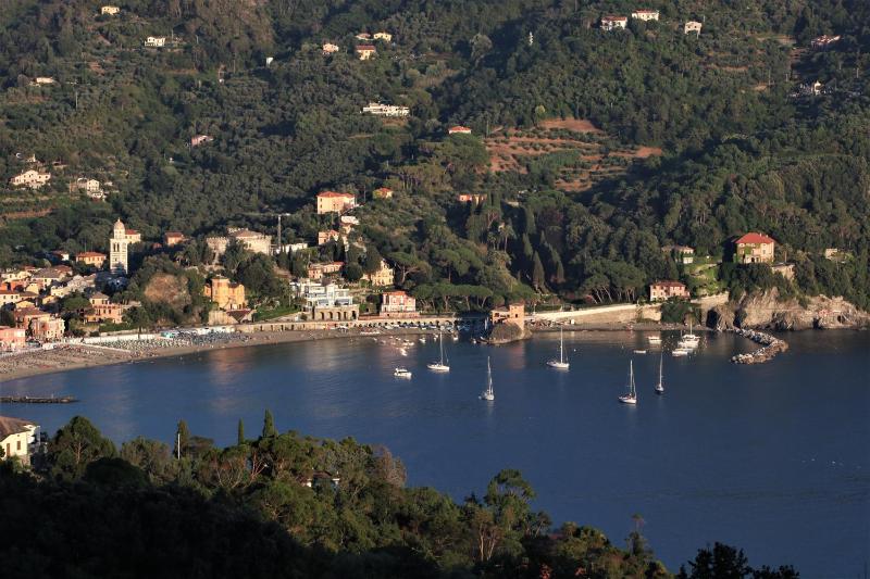 La Pulce Salata - image 6