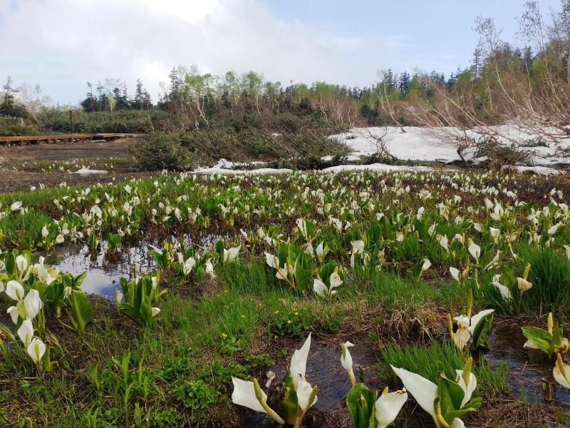Hotel Cerulean Alpine - image 32