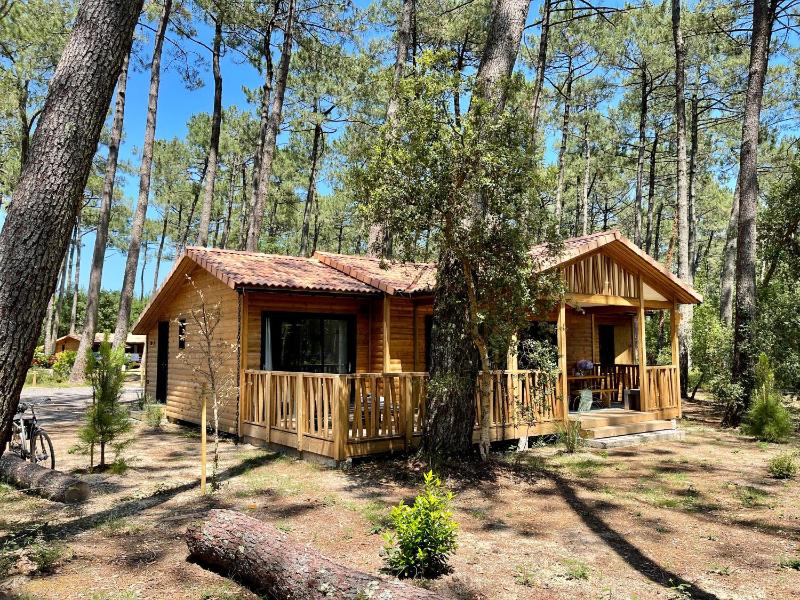 Superior Villa image 1