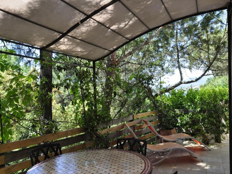Comfort Double Room with Spa Bath and Garden View image 3