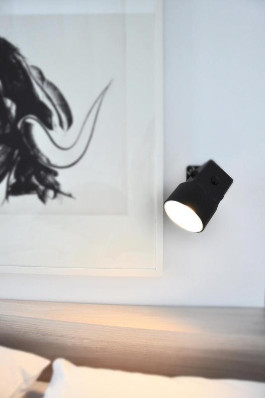 Studio Emmi - image 2