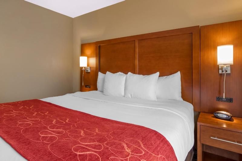 One-Bedroom King Suite with Sofa Bed - Non-Smoking image 3