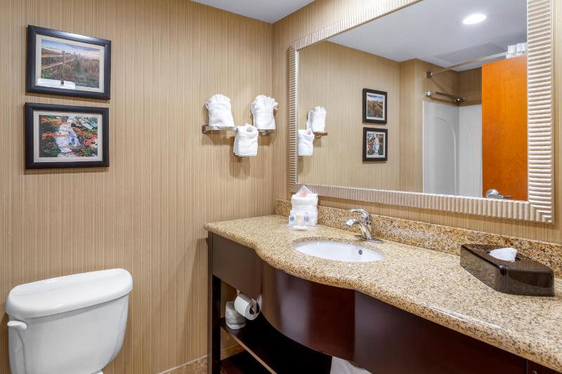 One-Bedroom Queen Suite with Sofa Bed - Non-Smoking image 2