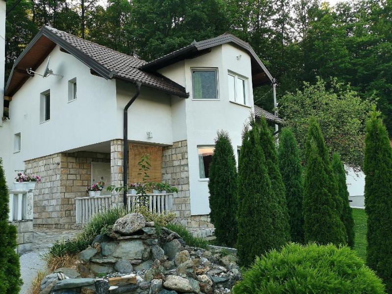 Superior Villa image 2
