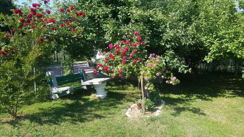 Holiday Home image 2