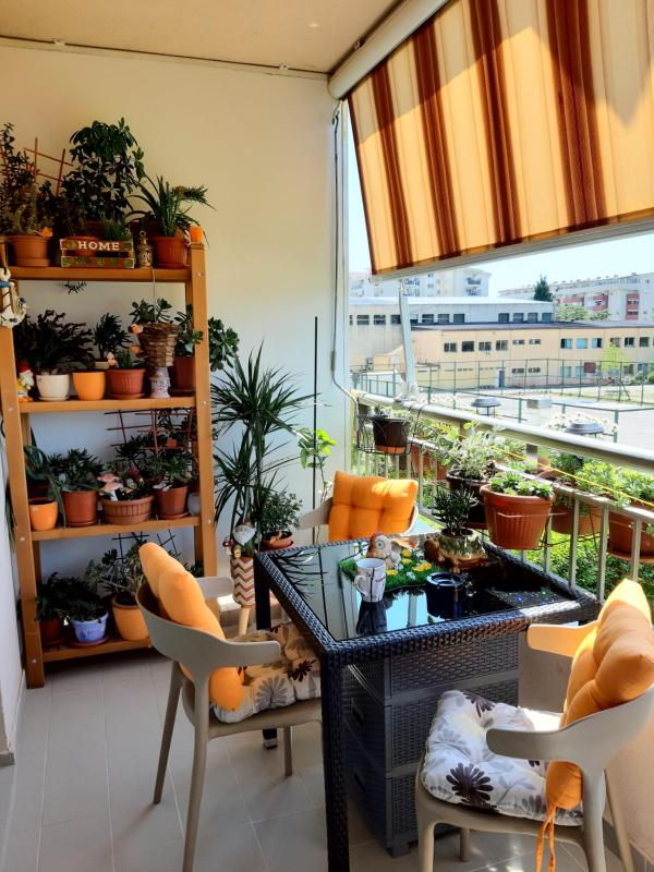 One-Bedroom Apartment image 2
