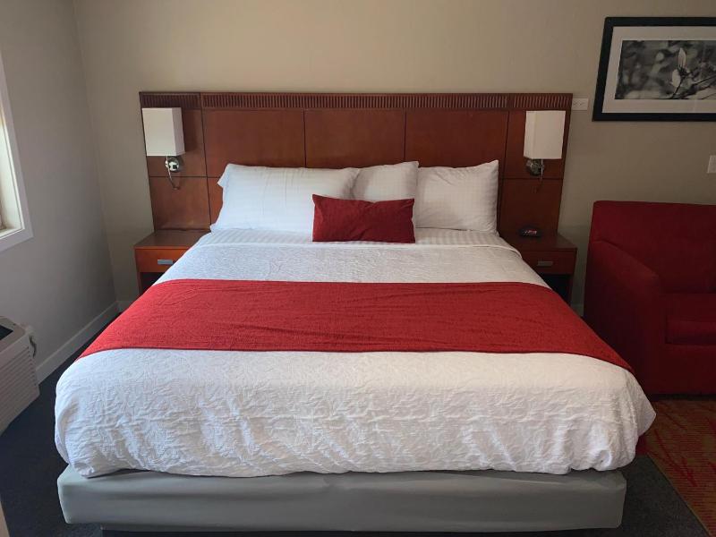 Apartment image 1