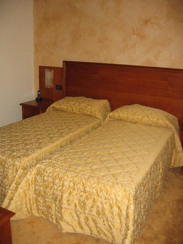 Double or Twin Room with Mountain View image 3