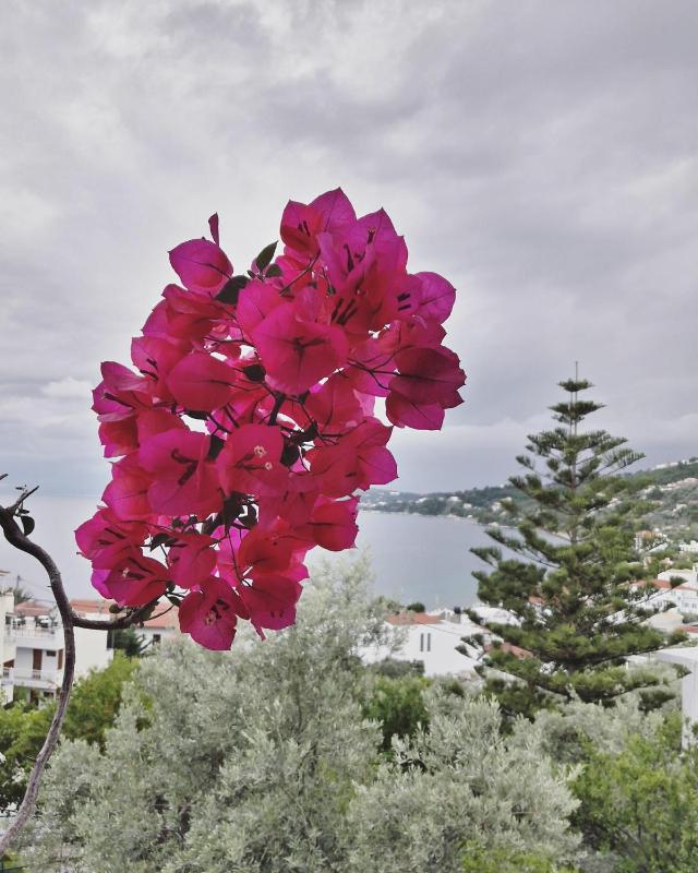Villa Anna - image 17