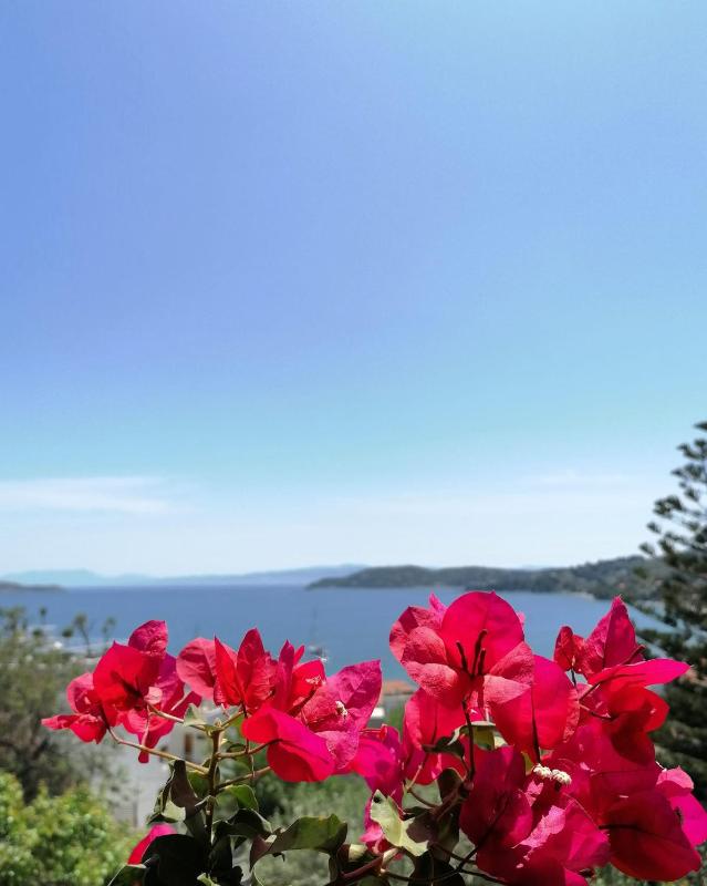 Villa Anna - image 35