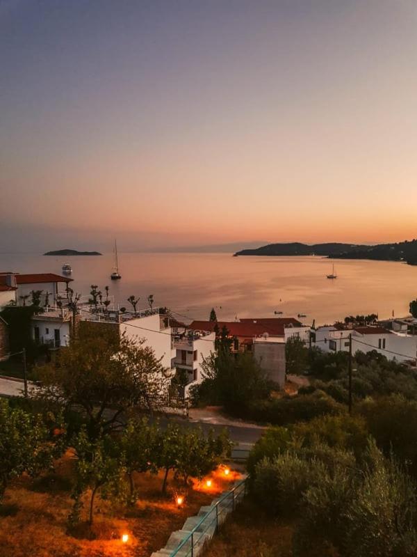 Villa Anna - image 26