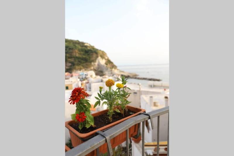 Casa Maadry - image 29