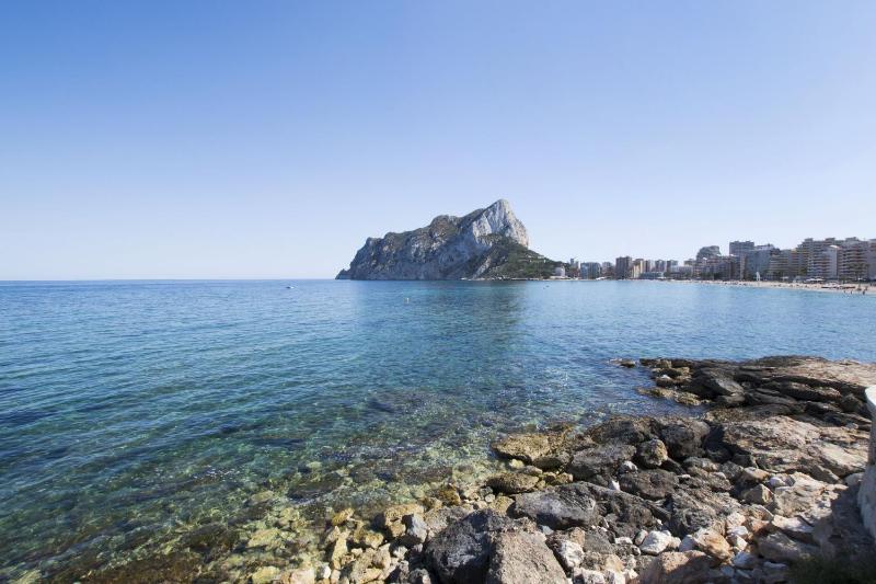 EDIFICIO IFACH III - image 1