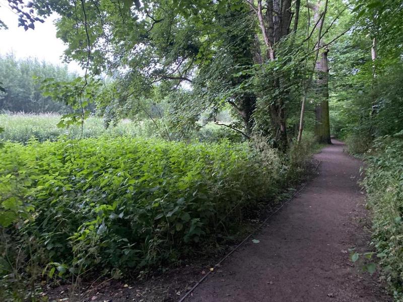 Penthouse Apartment image 4