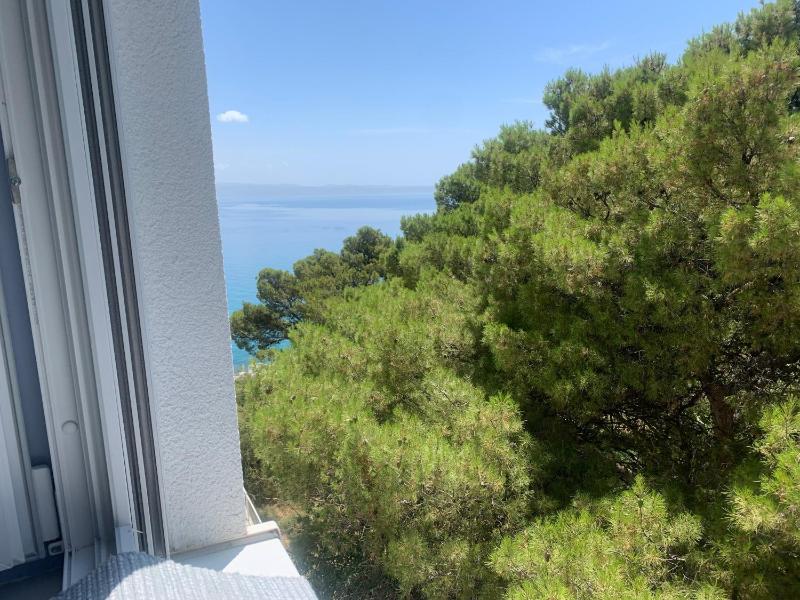 Hotel Elu Iris - image 8