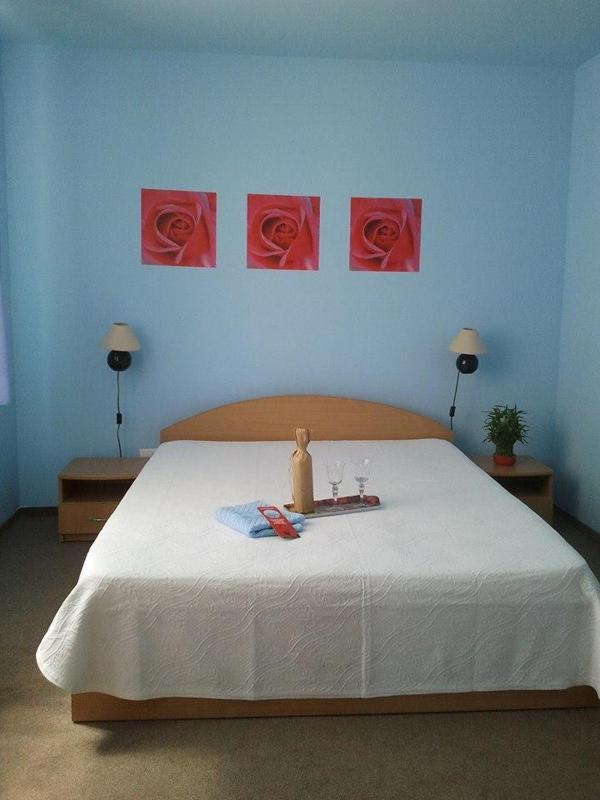 Double or Twin Room image 4