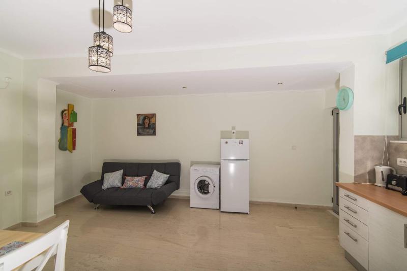 One-Bedroom Apartment image 3