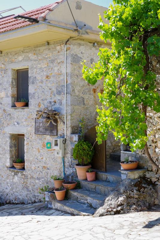 One-Bedroom Apartment image 2