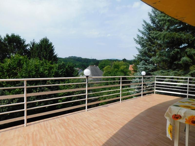 Apartment with Terrace image 4