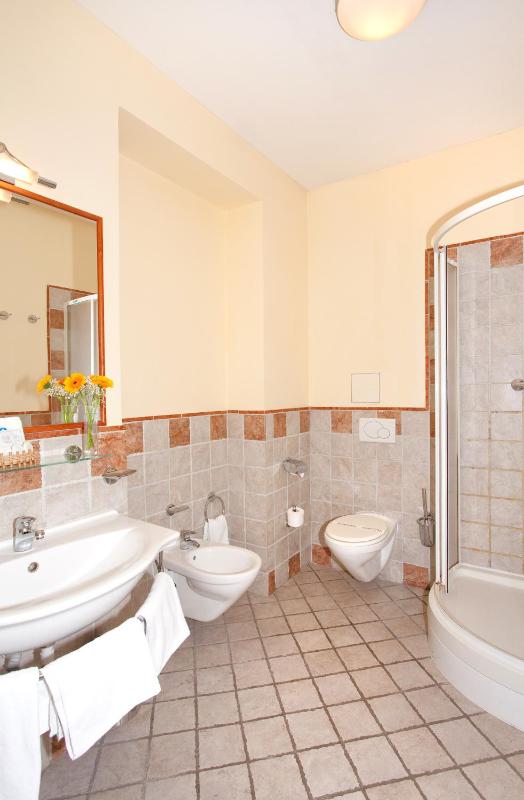 Hotel Tivoli Prague - image 6