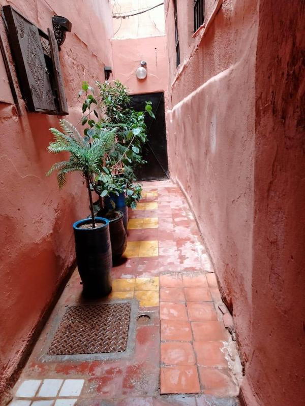 Riad Sabbah - image 10