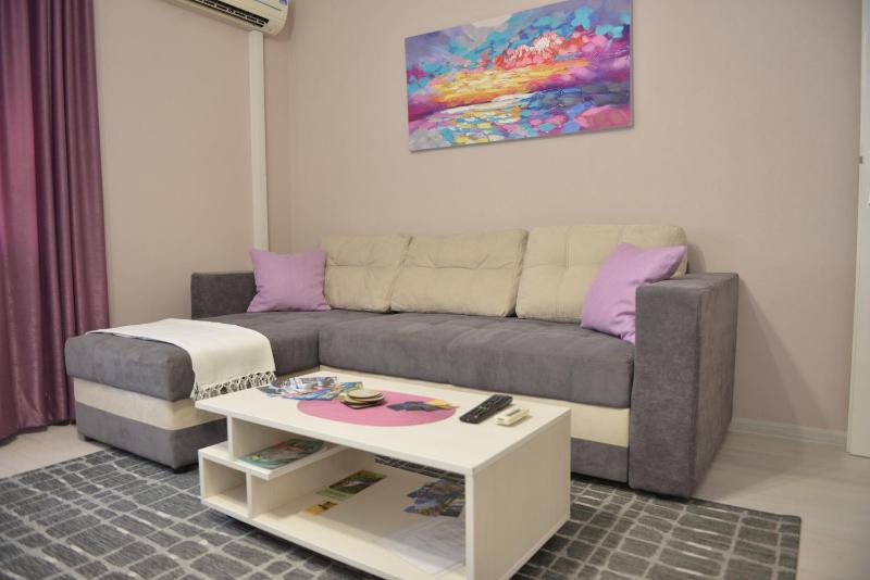 Comfort Apartment 1 image 1