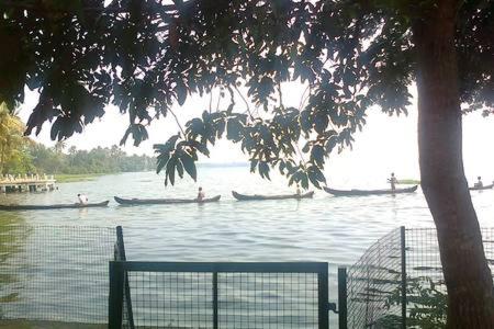 Lovedale Lakeside Homestay - image 47
