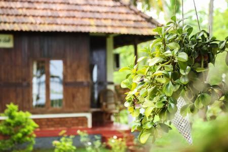 Lovedale Lakeside Homestay - image 33