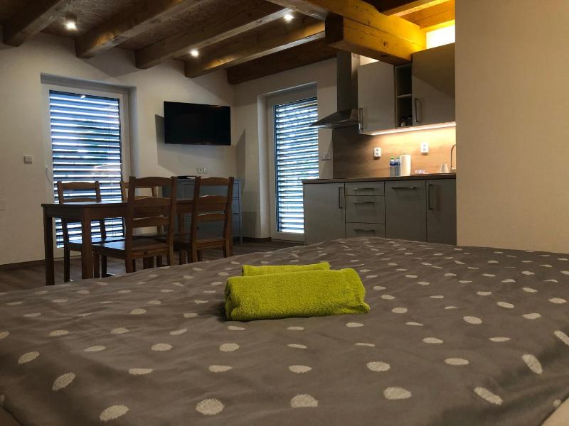 Apartment with Terrace image 1