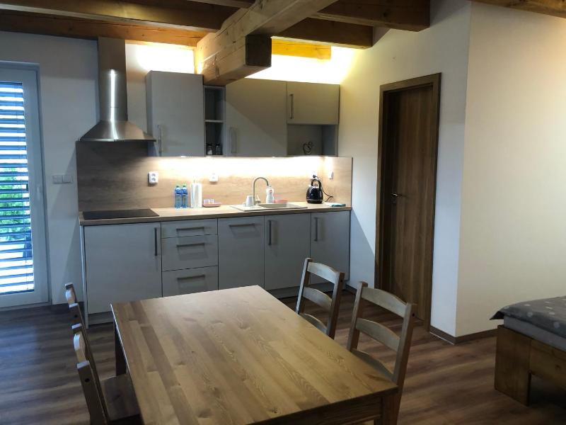 Apartment with Terrace image 4