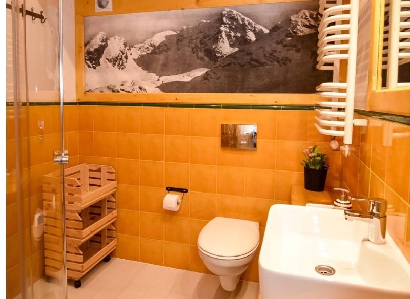 Villa Szymoszkowa SKI - image 43