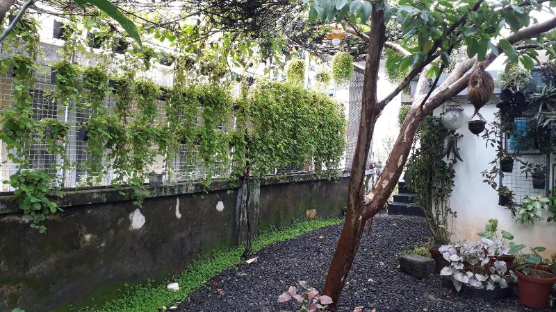 BethEl Residency - image 7