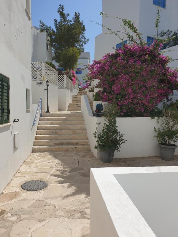 Ikaria village-ground floor apartment No 4 - image 8