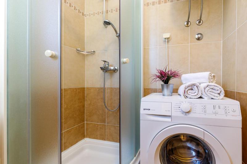 One-Bedroom Apartment image 4