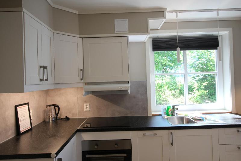 Studio Apartment image 4
