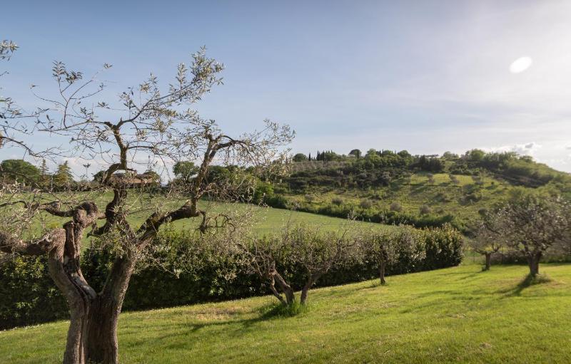 Residenza Il Falchetto - image 24