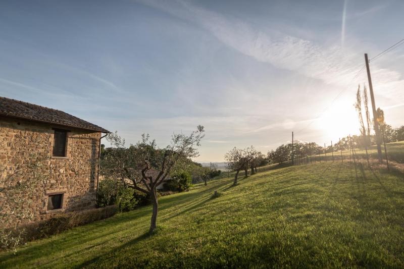 Residenza Il Falchetto - image 4