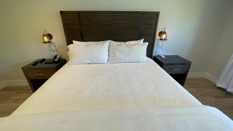 Superior King Room- 1 King Bed image 4