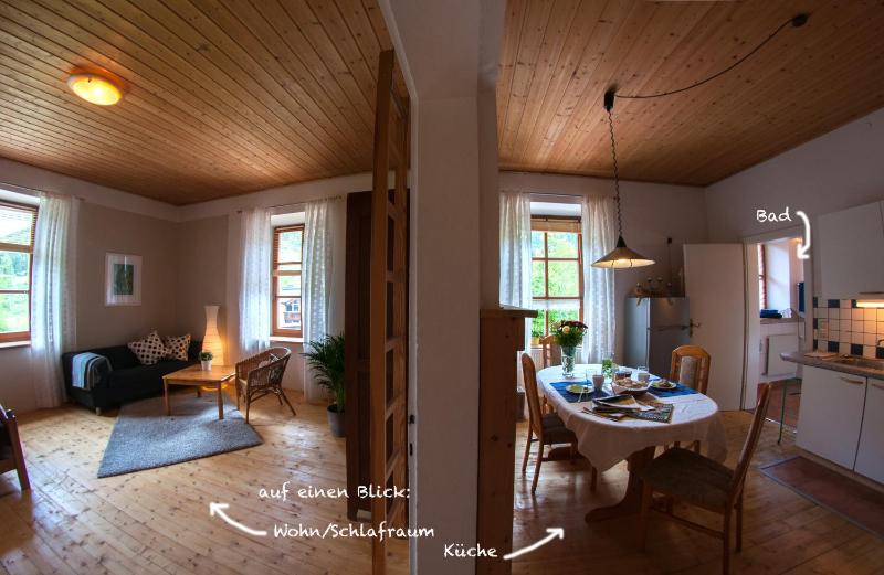 One-Bedroom Apartment image 2