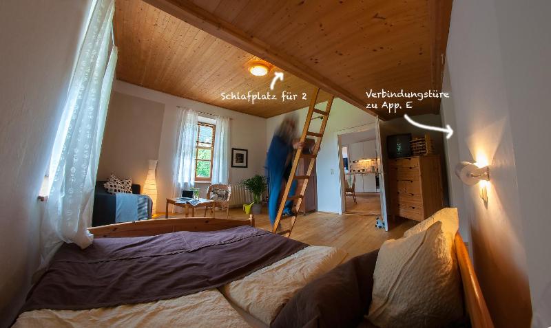 One-Bedroom Apartment image 4